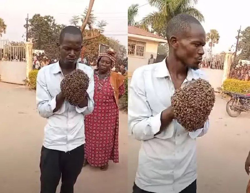 Африканская колдунья в Уганде арестовала мотоциклетного вора с помощью пчел