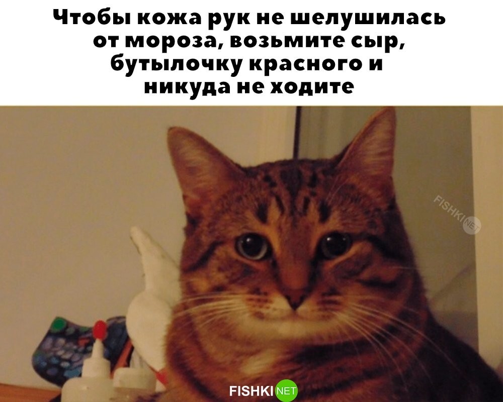 Скрины из соцсетей&nbsp;