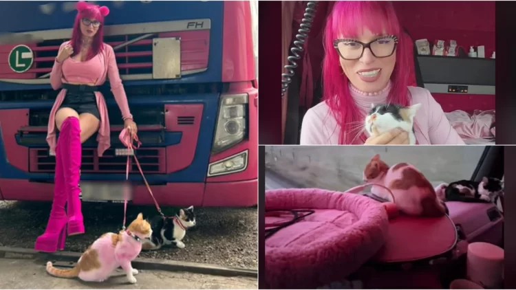 «Румынская Барби» работает дальнобойщицей&nbsp;— ездит на&nbsp;розовом грузовике с&nbsp;двумя кошками