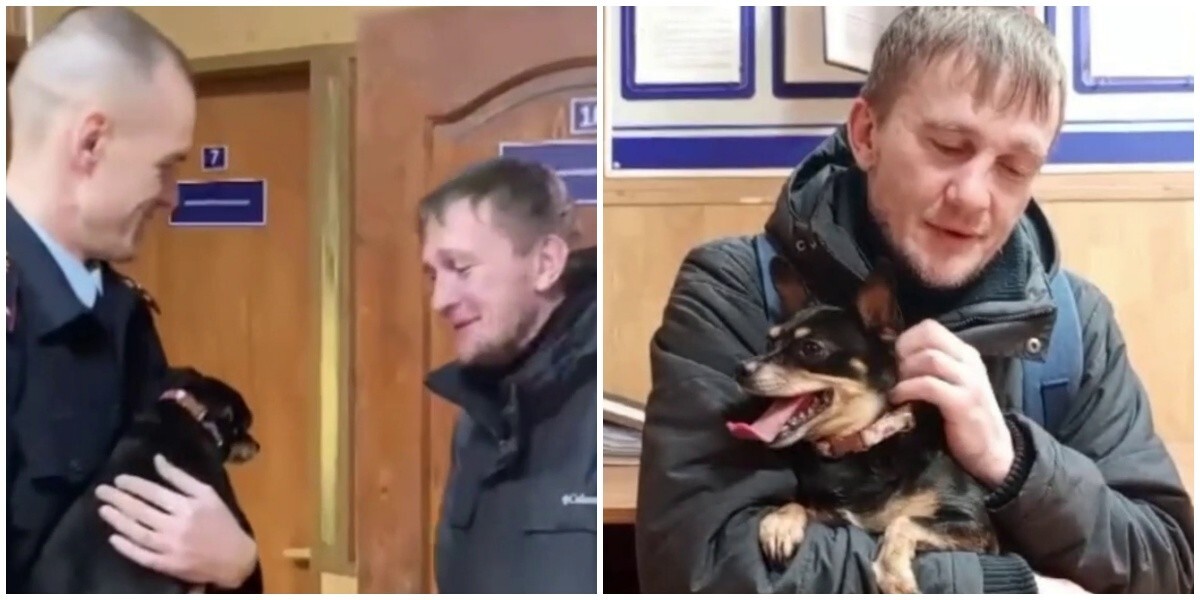Полицейские опубликовали трогательное видео воссоединения пса Арчи с его хозяином