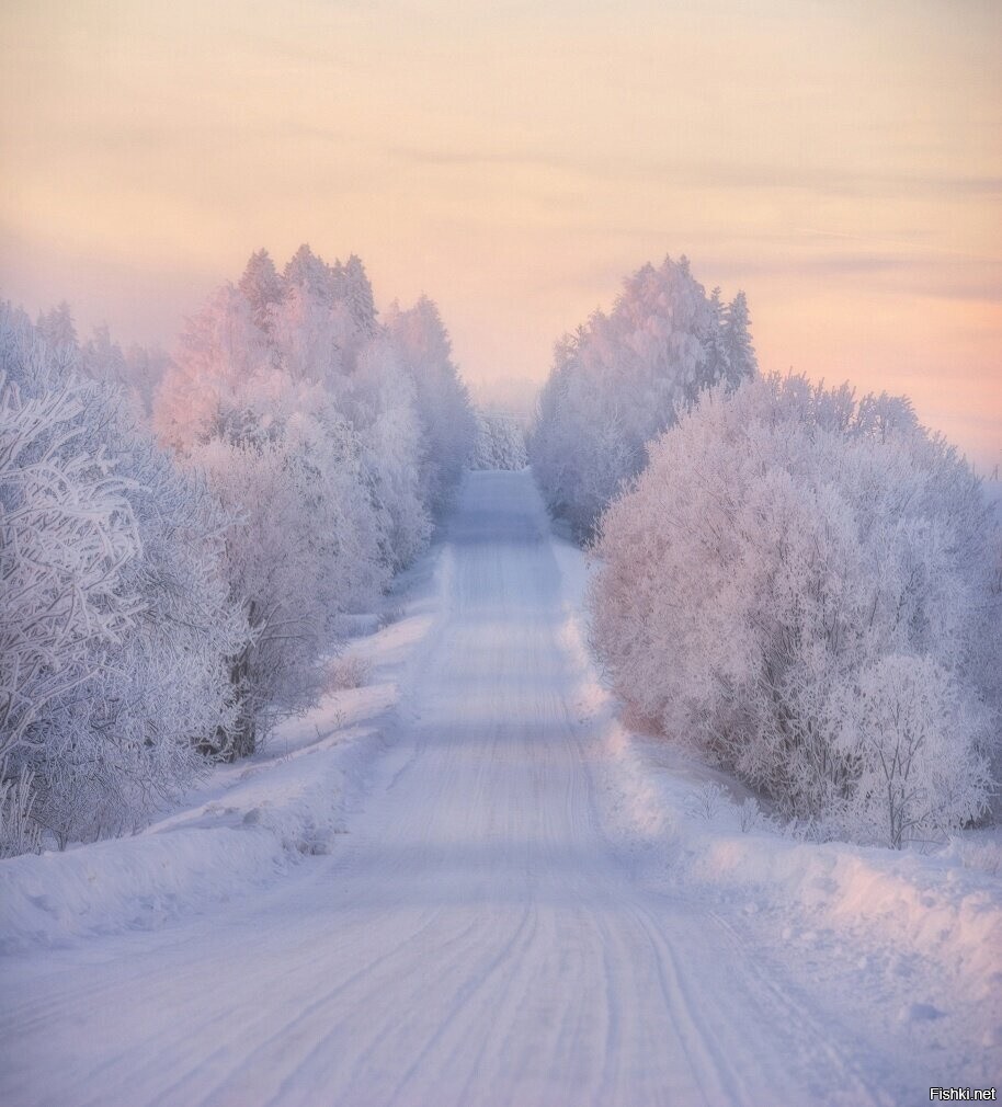 Зимняя дорога в Кировской области