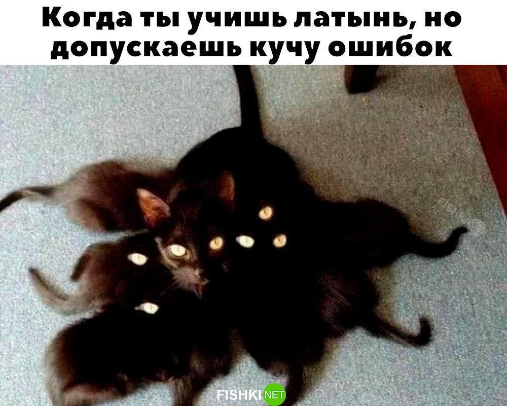 Знакомо? 