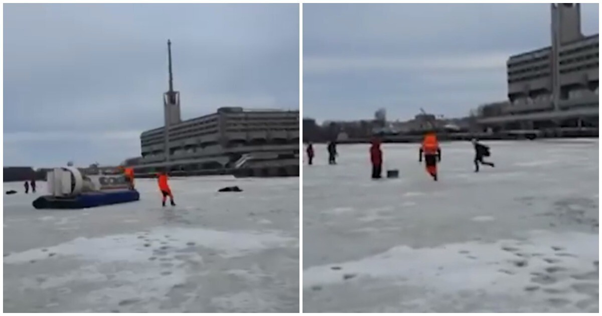 Спасателям пришлось отлавливать неадекватную девушку на льду Финского залива