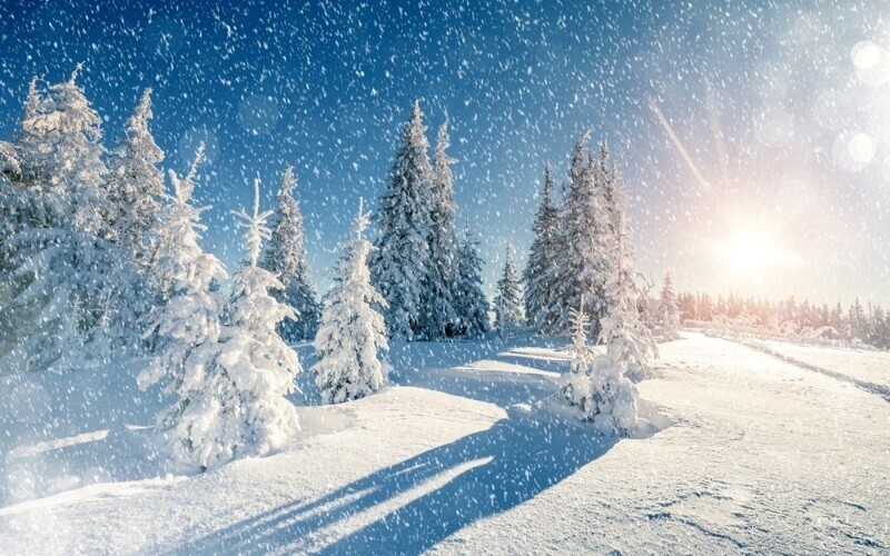 Текст песни «Веселая зима»