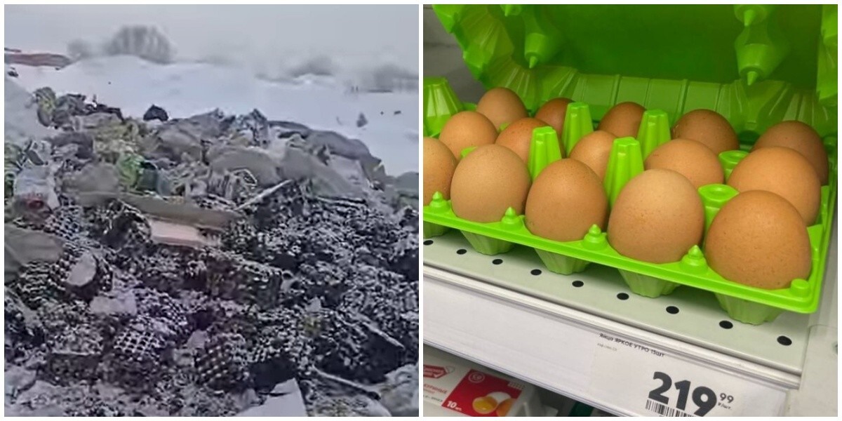В Омске нашли на свалке целую кучу яиц