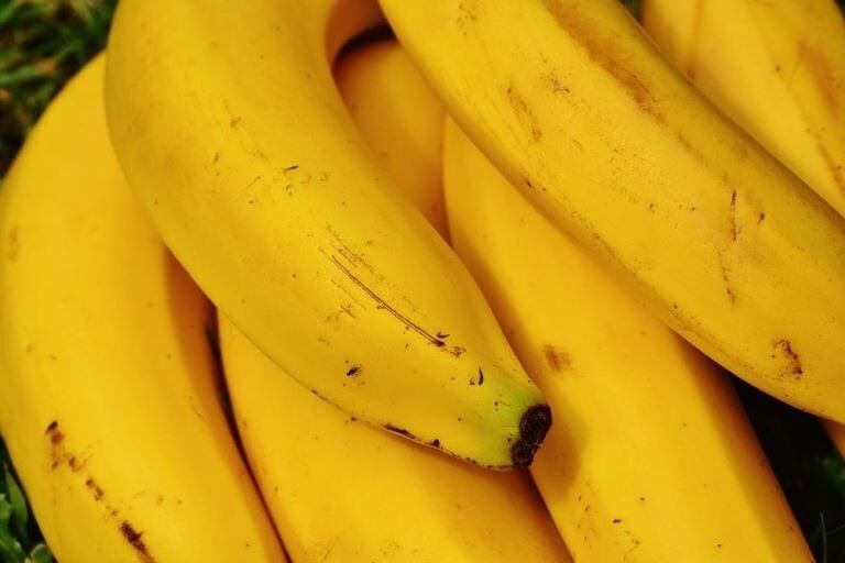 С 5 февраля Россельхознадзор запретил ввоз в Россию бананов