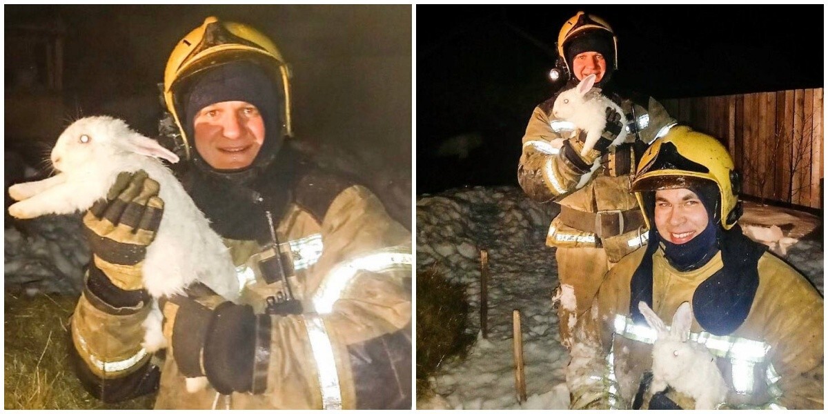Пожарные спасли восемь кроликов, оказавшихся в огненной ловушке