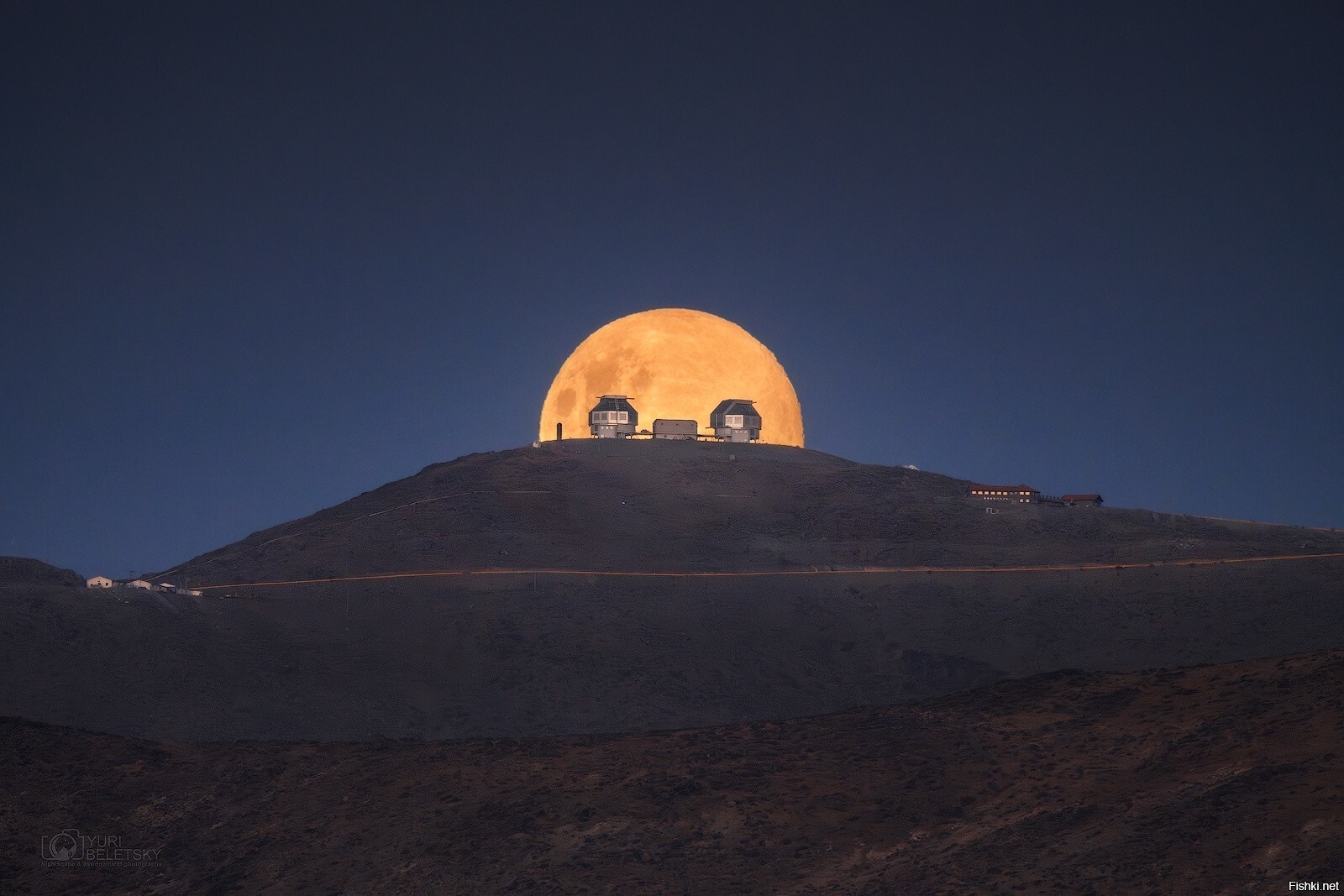 Популярное название январской полной Луны в северном полушарии – Волчья Луна