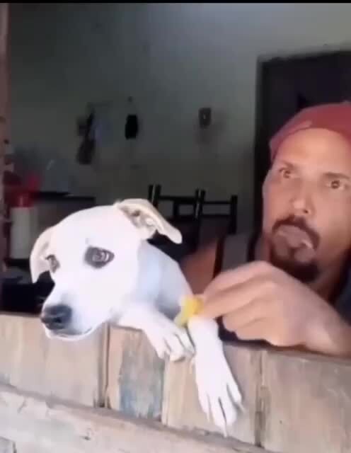 Когда твои соседи ругаются