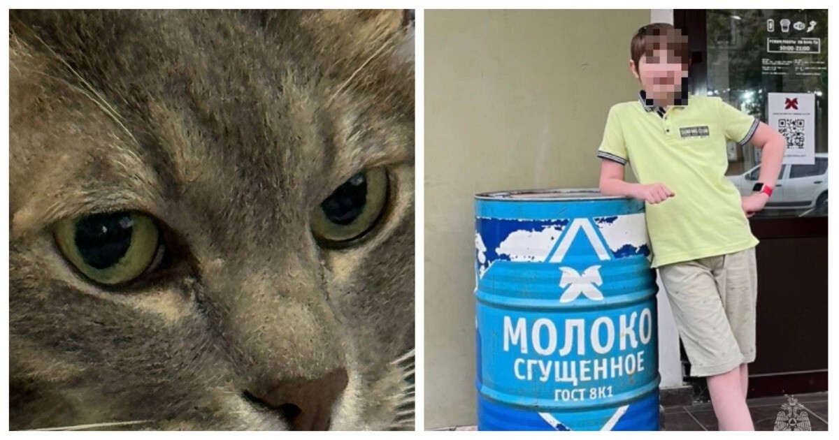 В Москве кот спас 10-летнего школьника от пожара