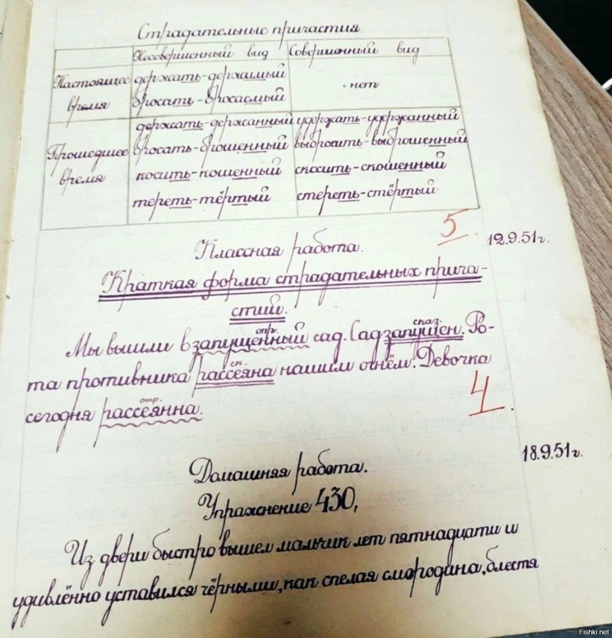 Почерк ученика 5-го класса, 1951 год