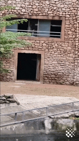 Опасная работа в зоопарке