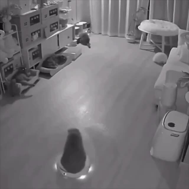 Патрулирование в криминальном районе