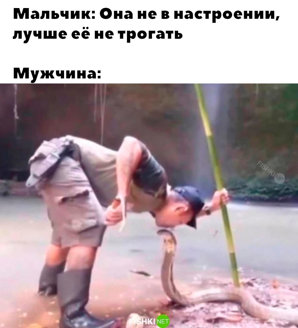 Скрины из соцсетей&nbsp;