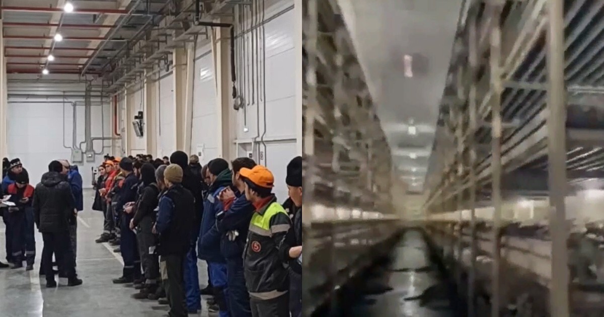 В Тольятти ОМОН задержал 19 незаконных мигрантов, работавших на производстве по выращиванию грибов