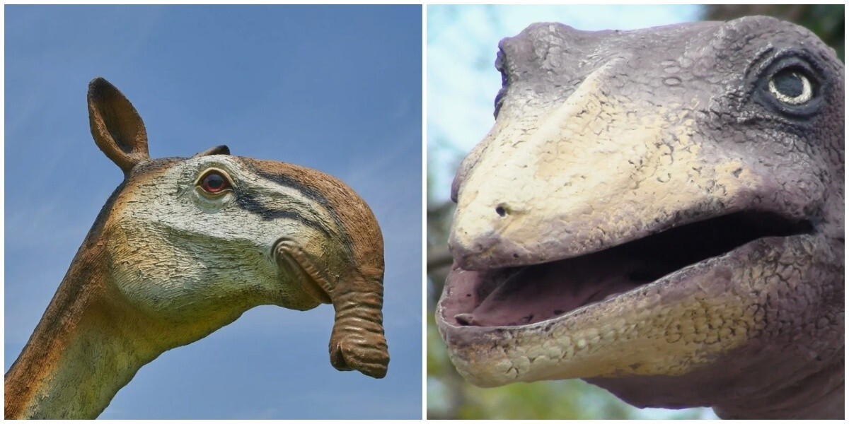 Пьяница и раздражитель: немецкие учёные потребовали переименовать динозавров из-за обидных и глупых названий