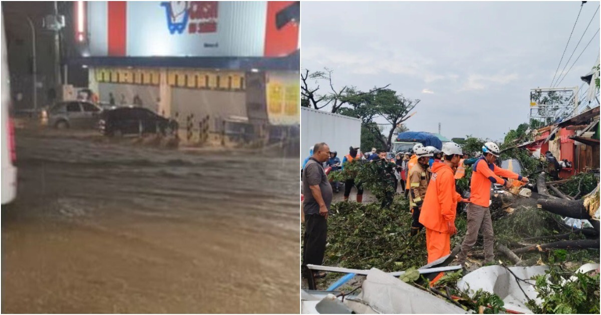 Индонезию и Бразилию сотрясают стихийные бедствия