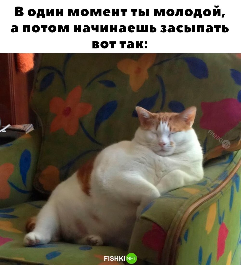 Что-то пошло не так