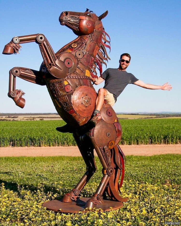 Австралиец Джордан Спригг уже с десяток лет делает из металлолома разных птиц...