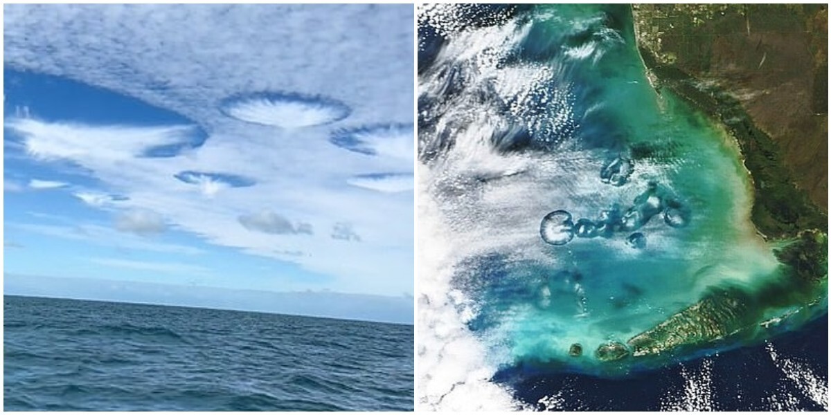 В небе над Флоридой заметили дырявые облака, похожие на НЛО