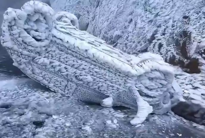 Последствия ледяного дождя в китайской провинции Шаньси