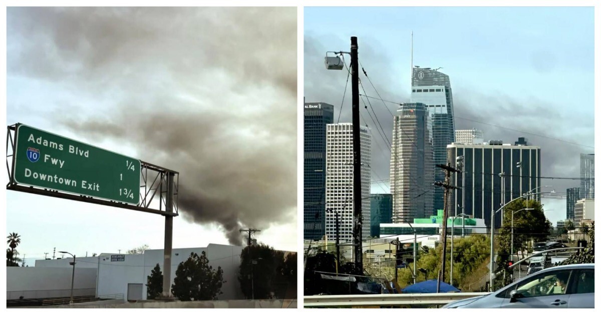В Лос-Анджелесе загорелась нелегальная ферма с каннабисом, и город накрыло облаком «веселящего» дыма