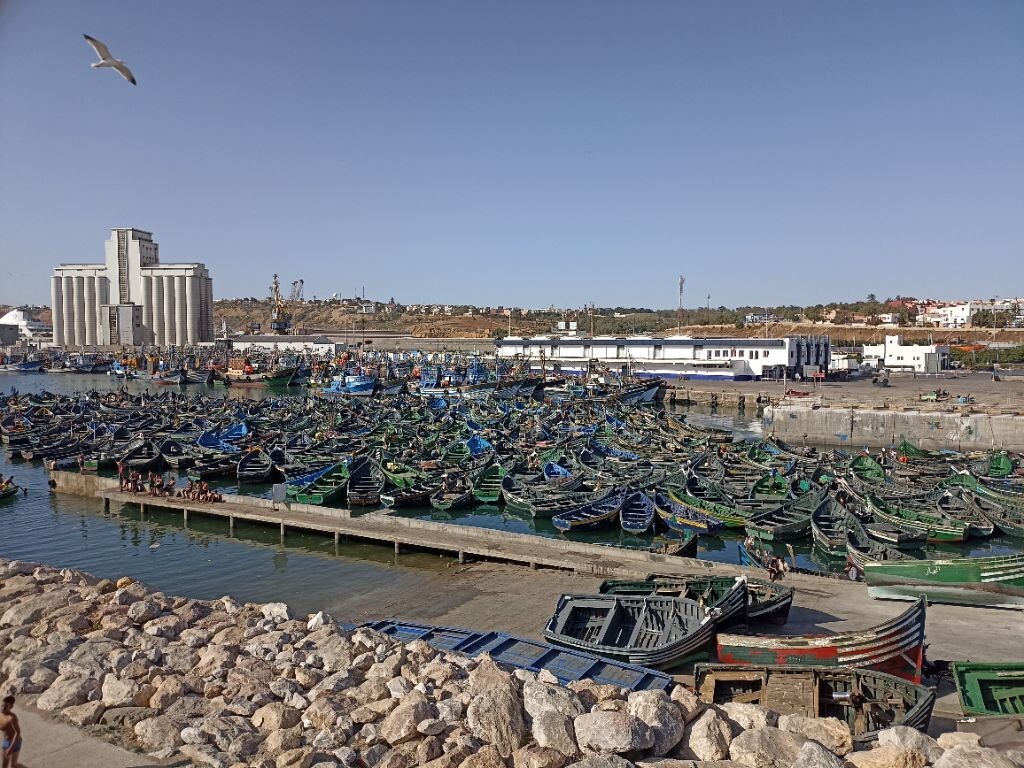Дни рыбалки в Марокко. Часть 2⁠⁠