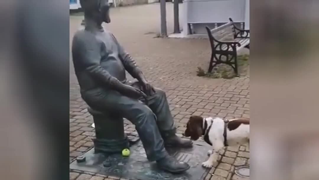Собака решила поиграть в мячик со статуей