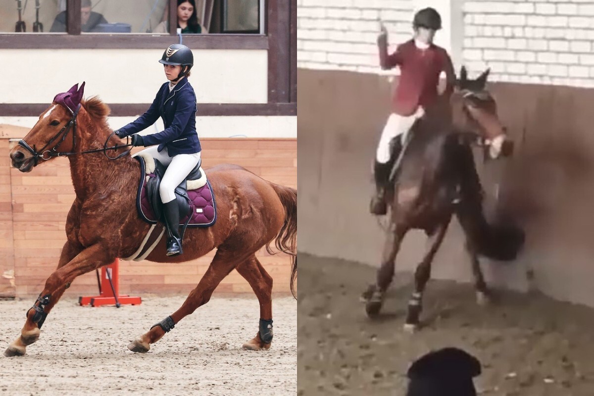 "Остановись! Ты что делаешь?!": российская спортсменка избила на соревнованиях лошадь, после чего была дисквалифицирована