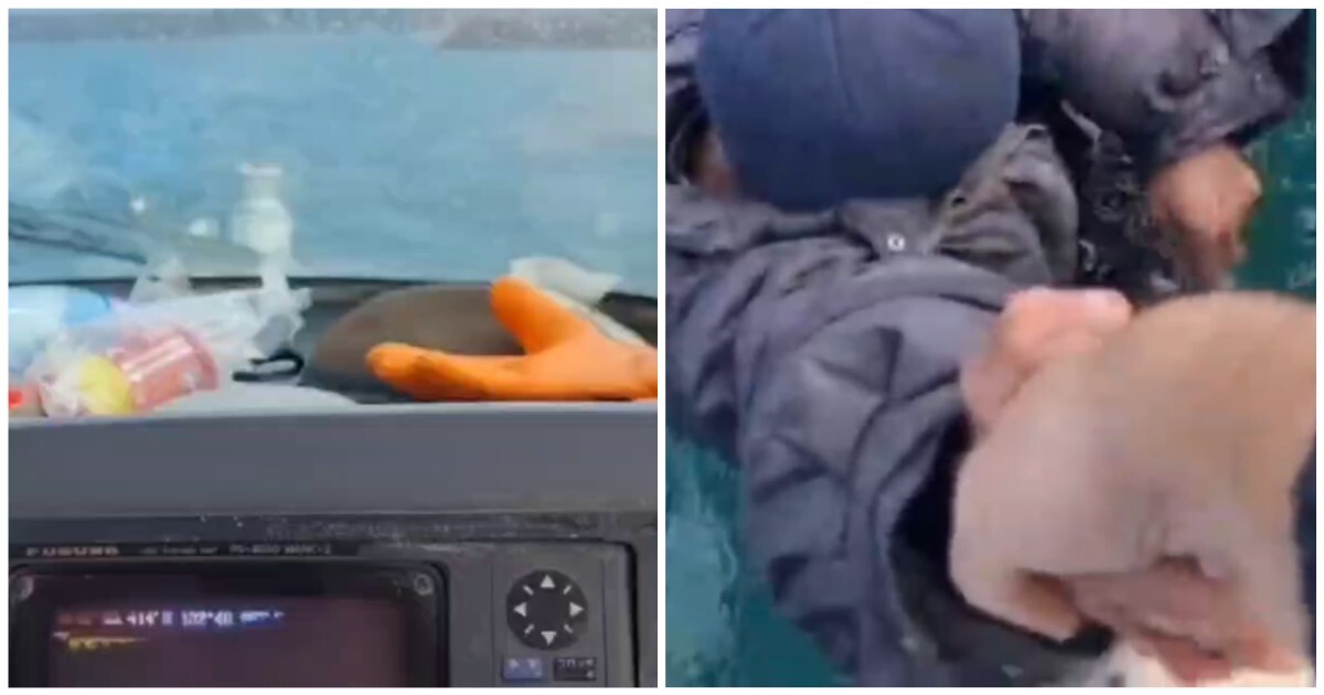 Мужчины спасли рыбака, выпавшего из резиновой лодки