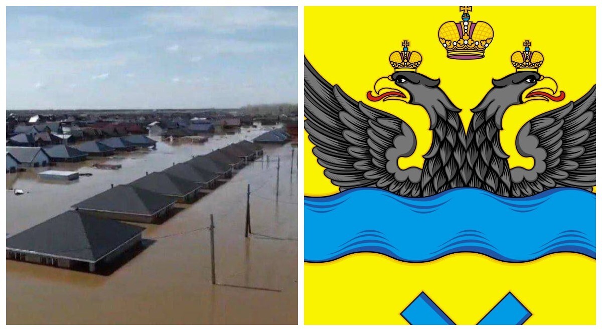 "Нет, орёл не тонет!" Оренбургский геральдист объяснил, что герб города никак не связан с наводнениями