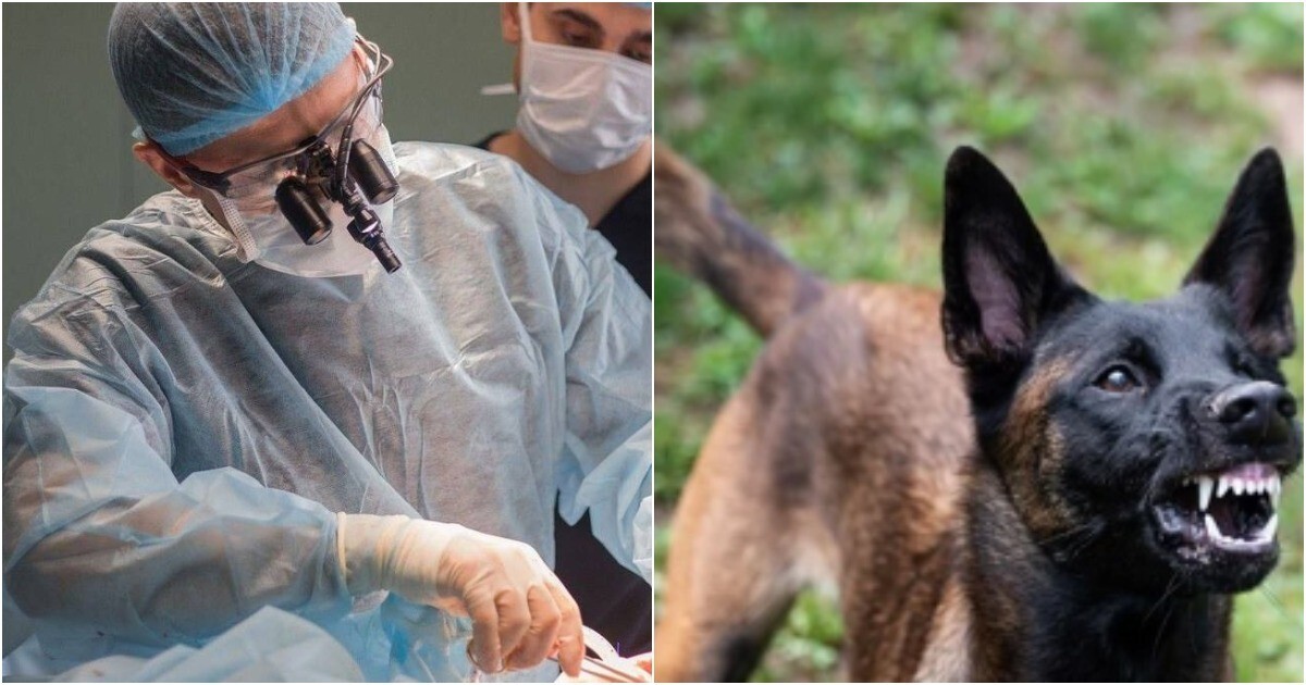 В России провели уникальную операцию по спасению лица ребенка, изуродованного собакой