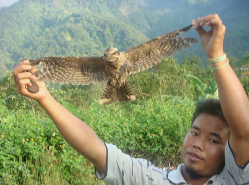 Загадочные самоубийства птиц в индийской деревушке