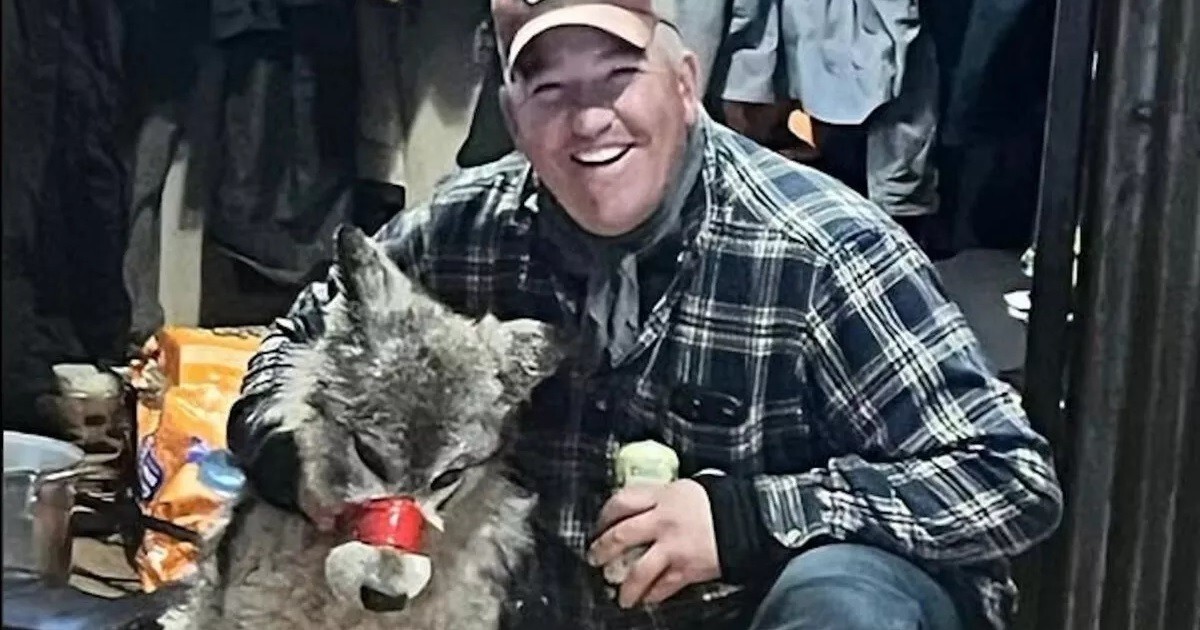 Американец приволок раненого волка в бар