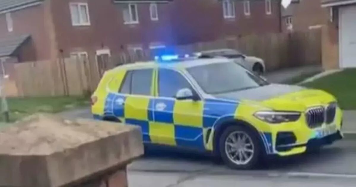 В Британии дети угнали полицейский автомобиль