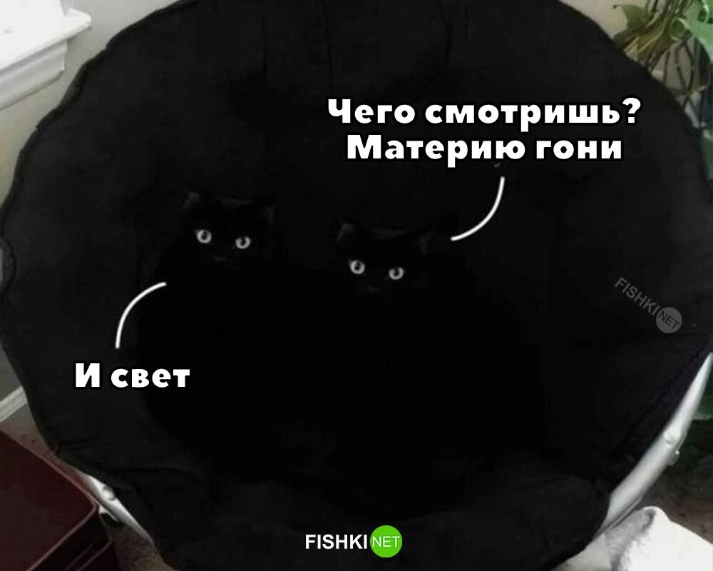 Не ищите здесь смысл. Здесь в основном маразм