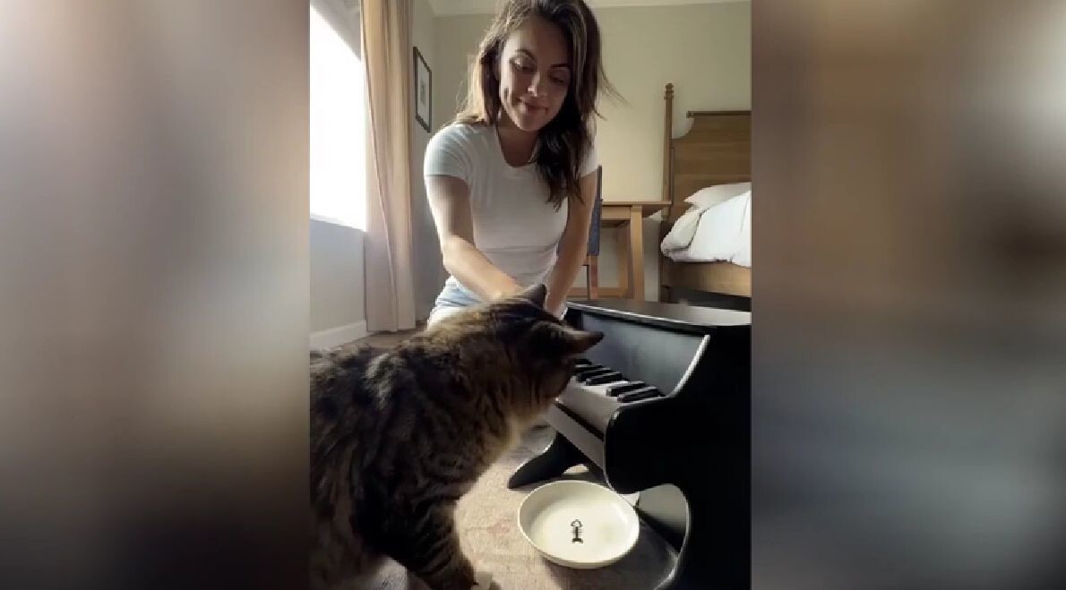 Девушка показала, как развить у котика музыкальный талант