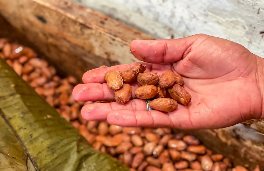 Как в Венесуэле из мокрых орехов получают настоящий шоколад