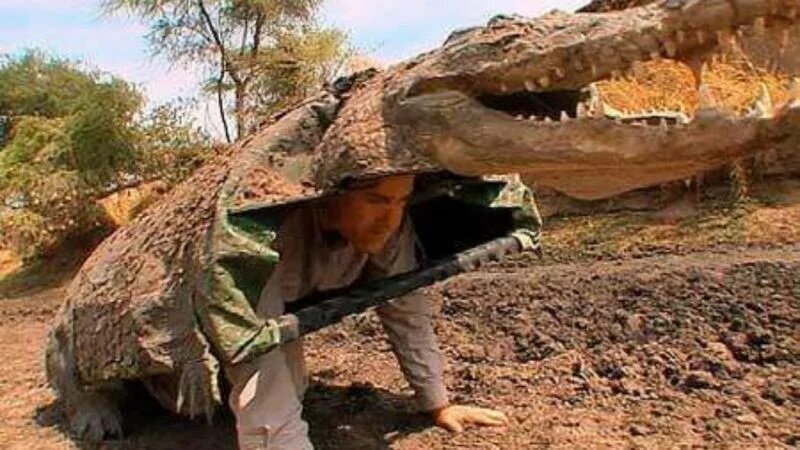 Зоолог переоделся крокодилом и залез к ним в логово
