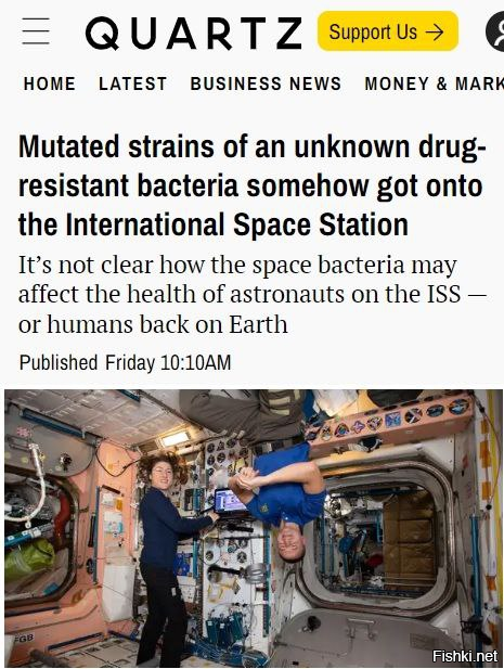 Бактерии на МКС мутировали в условиях космоса в неизвестные формы, резистентн...