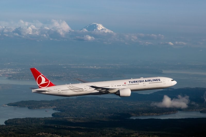 Турецкая авиакомпания объяснила, почему российских туристов снимают с самолётов и не пускают в США