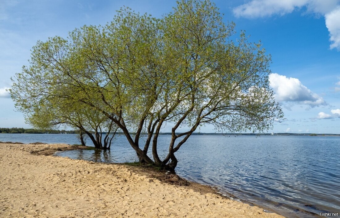 Минское море готовится к летнему сезону