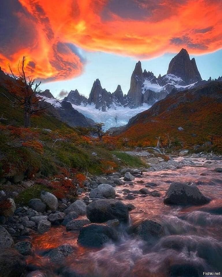 Национальный парк Лос Гласьярес, Аргентина