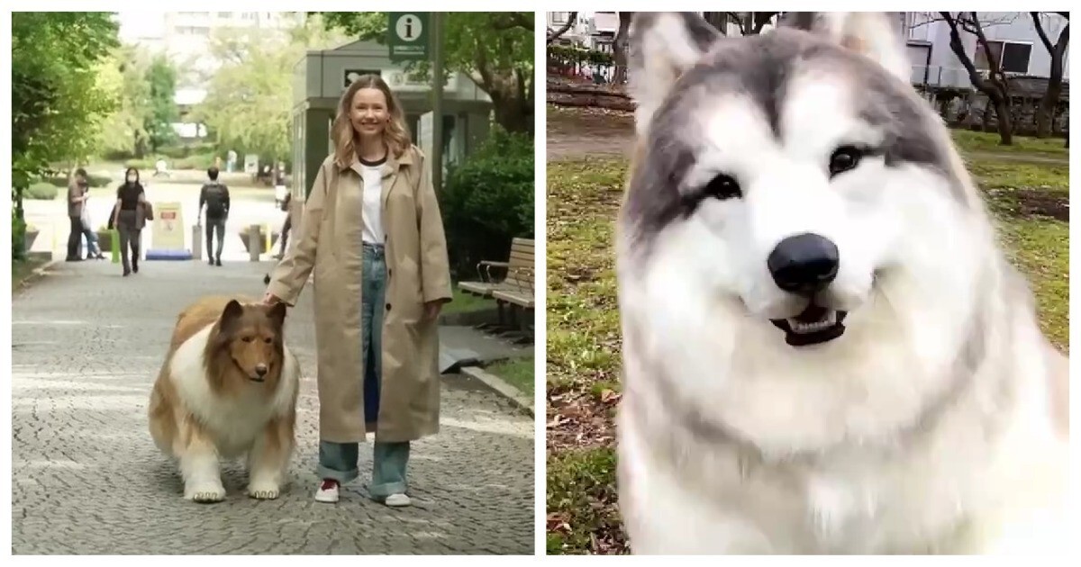 Японец, мечтающий стать собакой, купил себе костюм маламута