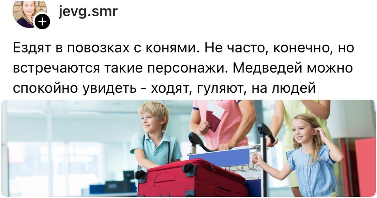 "Чтобы провести интернет - нужно перекрыть всю улицу": пользователи рассказали, что их больше всего удивило в других странах