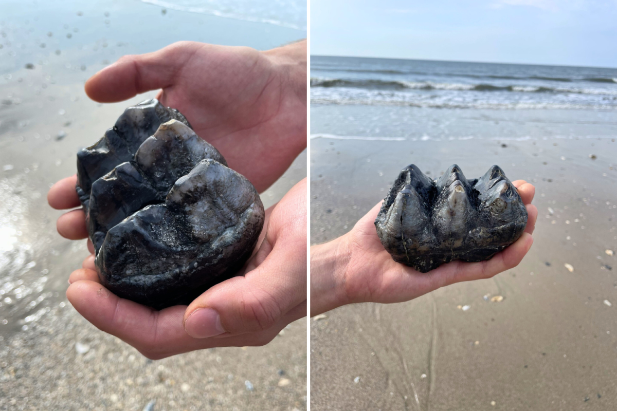 Мужчина нашел на пляже странный камень