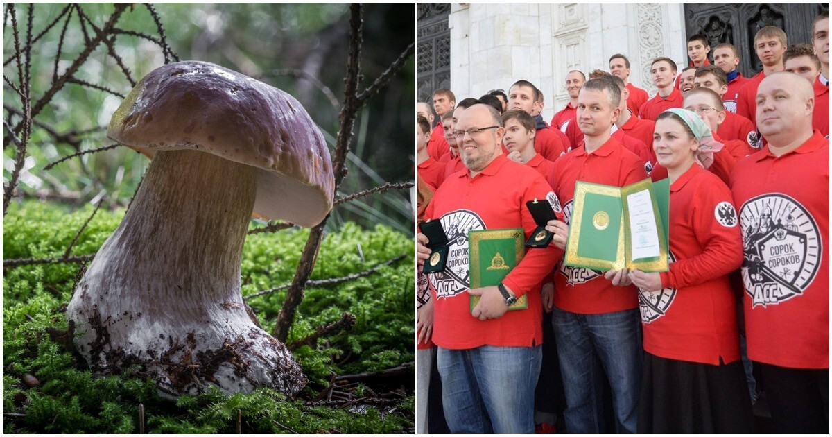 Православные активисты пожаловались в прокуратуру на скульптуры грибов в Коми