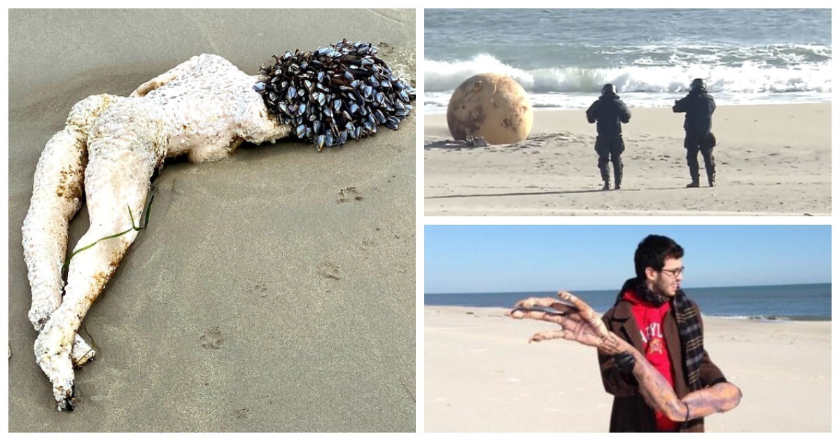 17 странных штуковин, выброшенных на берег