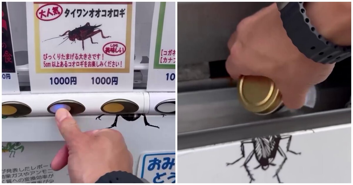 Вендинговый автомат с насекомыми в Японии