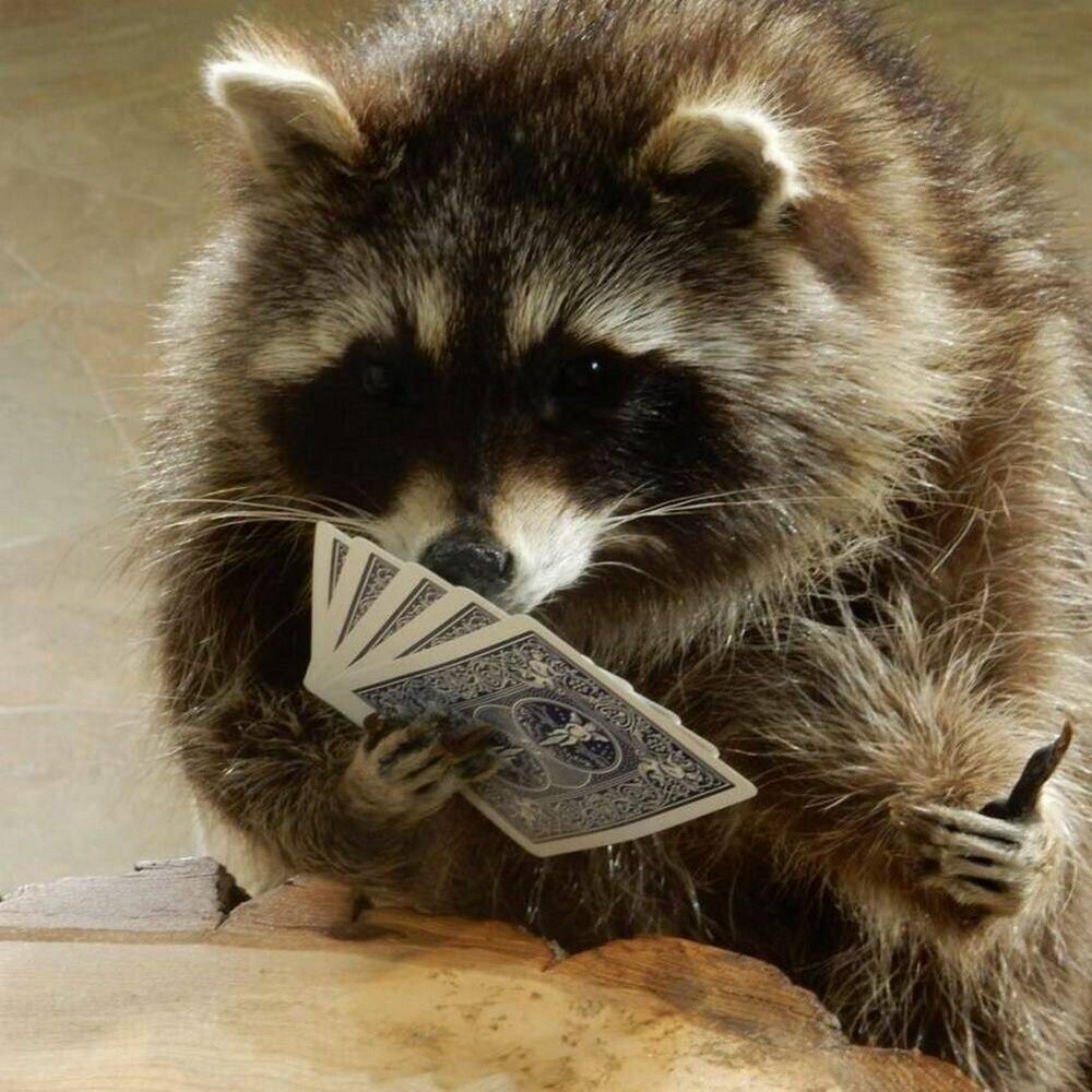 На общую тему&nbsp;